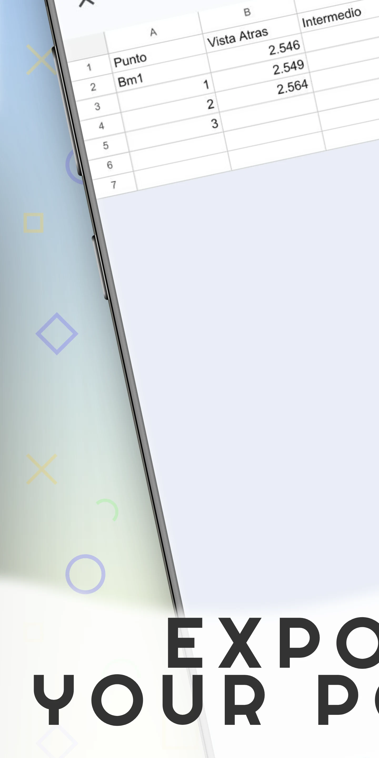 Topographic Level screenshot